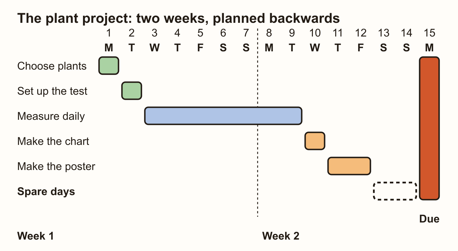 A two-week plan for a plant project: choose plants on day 1, set up on day 2, measure daily to day 9, make the chart on day 10 and the poster on days 11 and 12, keep two spare days at the weekend, and hand it in on the Monday after.